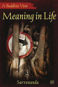 Meaning in Life book cover